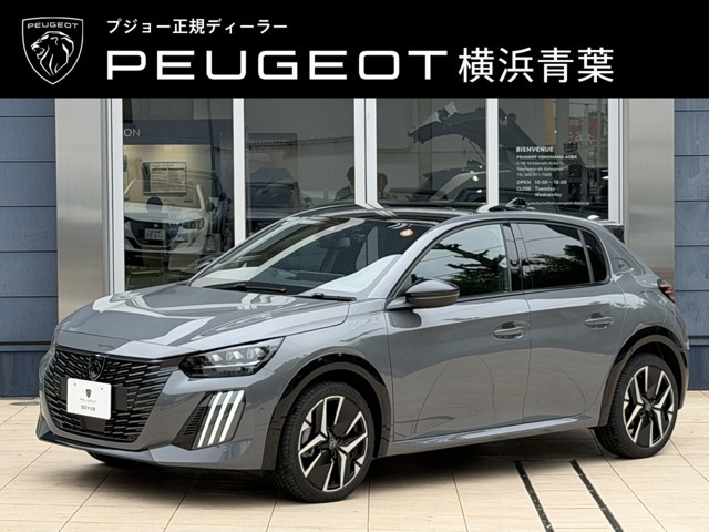 208 GT セレニウム エディション 