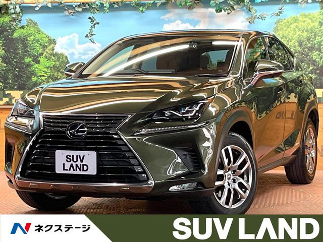 NX300h バージョンL