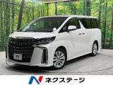両側電動スライド 純正9型ナビ 12型後席モニター バックカメラ
