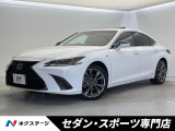 ハンズフリーパワーバック サンルーフ バックカメラ