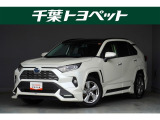【メイン】 千葉・茨城・埼玉・東京・神奈川での登録、及びご来店いただける方への販売に限らせていただきます。