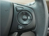 ◆アダプティブクルーズコントロール◆予め設定した車速内でクルマが自動的に加減速。前走車との適切な車間距離を維持しながら追従走行します。【LKAS】車線維持支援システムでステアリング操作を支援。