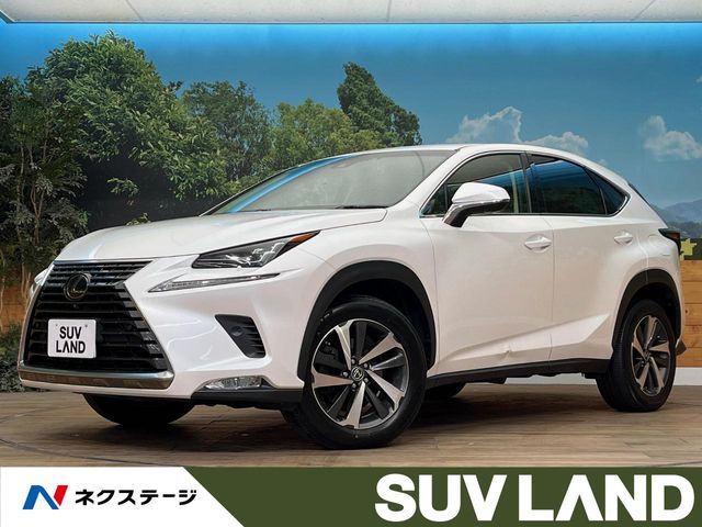 NX 200t Iパッケージ 