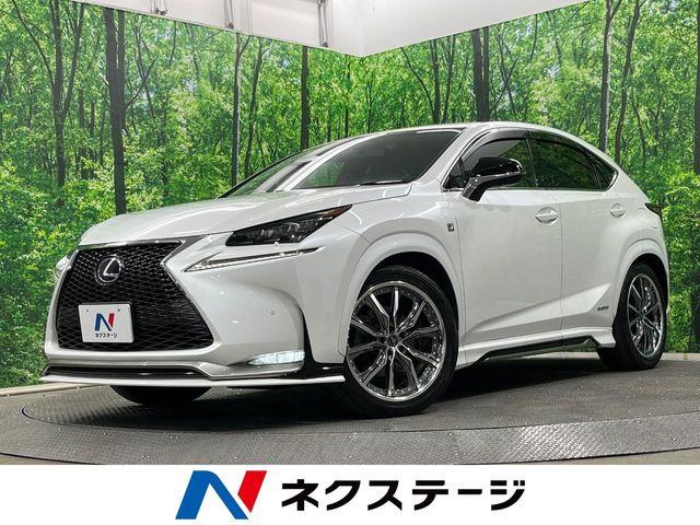 NX 300h Fスポーツ 