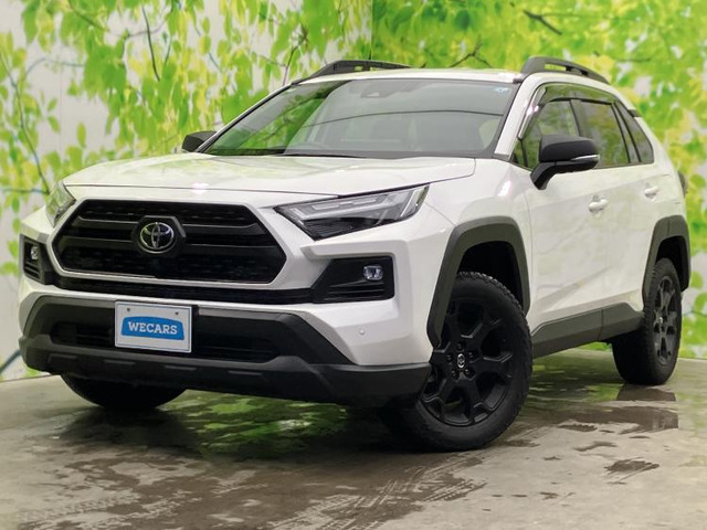 RAV4 2.5 ハイブリッド アドベンチャー オフロードパッケージ II E-Four 4WD 