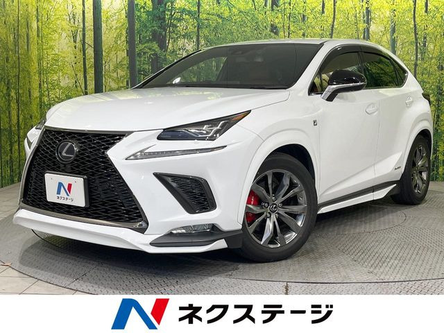 NX 300h Fスポーツ 