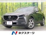 純正8.8型ナビ 全周囲カメラ 衝突軽減システム レーダークルーズ
