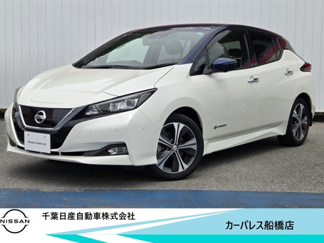 リーフ G 