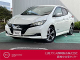 令和4年リーフXVセレクション/パールホワイトが入荷しました!