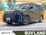 サンルーフ BIG-X11型ナビ バックカメラ 両側パワスラ