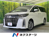 サンルーフ フルエアロ 両側電動ドア バックカメラ 衝突被害軽減システム