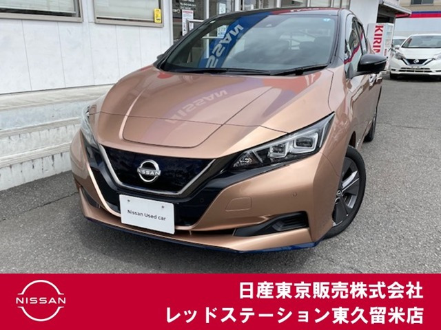 リーフ  e+ アーバンクロム