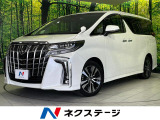 両側電動スライドドア 純正10型SDナビ バックカメラ レーダークルーズ