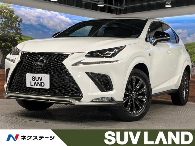 NX 300 クール&ブライト 特別仕様車