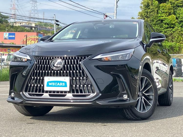 NX 250 