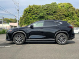 NX 250 