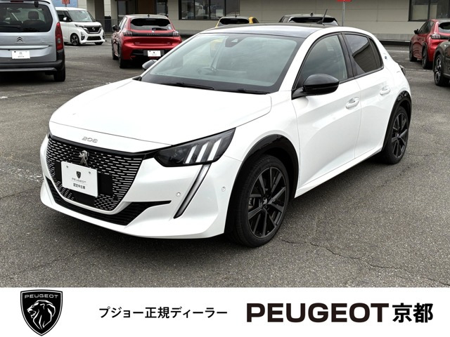 e-208 GT 