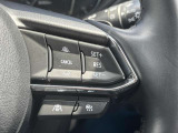 車速を一定に保つクルーズコントロール機能を搭載。高速道路などで長距離をドライブされる際などに、とても便利な機能です。