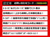 エルグランド 2.5 250ハイウェイスター メーカーナビ リアエンタメ 両自
