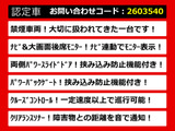 アルファード 2.4 240S タイプゴールド リアモニタ 両自ドア パワーバック