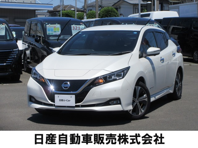 リーフ G 