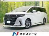 ガラスルーフ モデリスタフルエアロ 両側電動ドア 後席モニター ETC