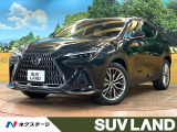 パノラマルーフ レクサスチームメイト 14型ナビ 全周囲カメラ 禁煙車