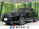 4WD SDナビ 全周囲カメラ プリクラッシュセーフティ