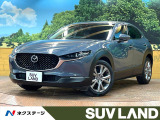 8型ナビ 全周囲カメラ フルセグ CV/DVD スマートブレーキサポート