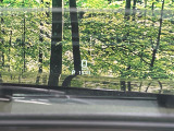 【ヘッドアップディスプレイ】現在の速度や走行情報をデジタル表示で運転席前方のガラスに投影!運転中、目線をずらさず必要な情報を確認できるのでとっても便利で安心!