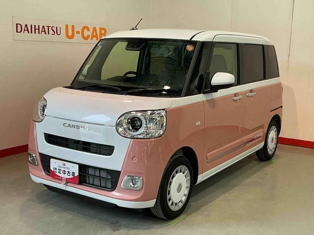 ムーヴキャンバス  ストライプス G