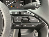 前方の車との車間を設定し、スピードを上げたり緩めたりを自動で行ってくれる追尾式の「レーダークルーズ」。上級装備の一つです!高級車にしかつかない嬉しい機能です。