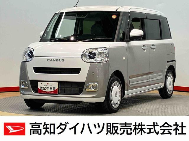ムーヴキャンバス  ストライプス G