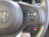 各種機能のボタンがあります。もちろん運転席からの操作も可能。スマートに使いこなしてください。