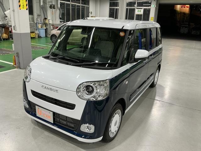 ムーヴキャンバス  ストライプス G