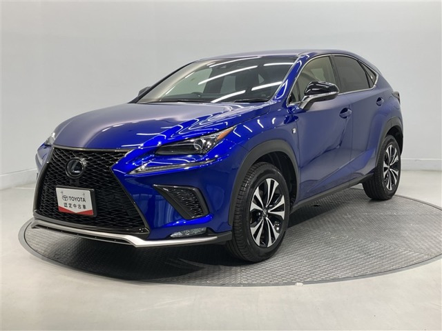 NX 300 Fスポーツ 