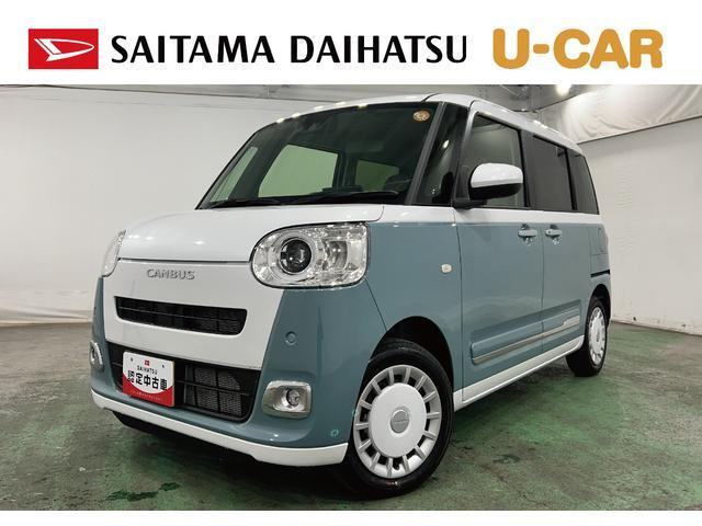 ムーヴキャンバス  ストライプス G