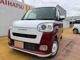 ムーヴキャンバス  ストライプス G