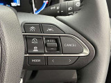 前方の車との車間を設定し、スピードを上げたり緩めたりを自動で行ってくれる追尾式の「レーダークルーズ」。上級装備の一つです!高級車にしかつかない嬉しい機能です。