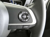 ステアリングスイッチでクルーズコントロール機能の操作ができます。長距離の高速走行時の疲労軽減や燃費に役立ちます。