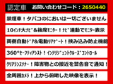 エルグランド 3.5 350ハイウェイスター 10インチナビ 全周囲カメラ