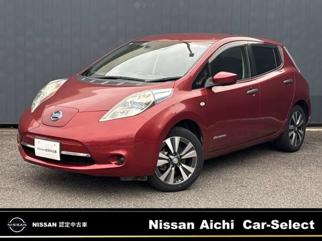 リーフ 30kWh X サンクス エディション 