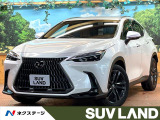 全周囲カメラ ブラインドスポットモニター デジタルミラー 三眼LED