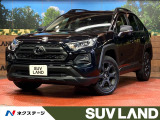 純正10.5DA バックカメラ 衝突被害軽減システム レーダークルーズ