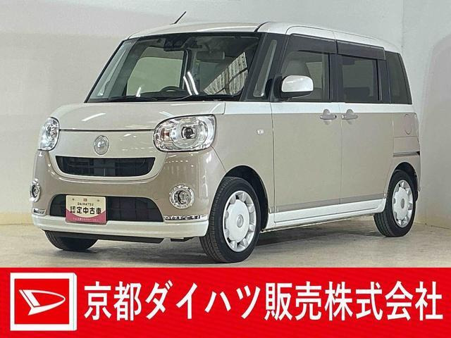 ムーヴキャンバス G メイクアップ SAIII 