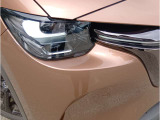 アダプティブLEDヘッドライト カメラや車速センサーと連動して、ハイ、ロー、ワイドローのLEDライトを常に最適な配光に自動制御する優れものです!