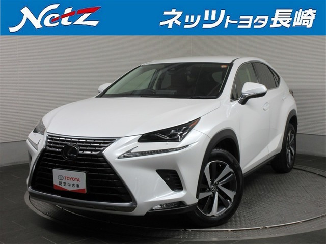 NX 300 Iパッケージ