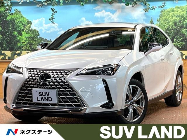 UX 250h グレイスフル エクスプローラー 