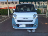 ムーヴキャンバス  ストライプス G