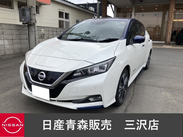 リーフ G 